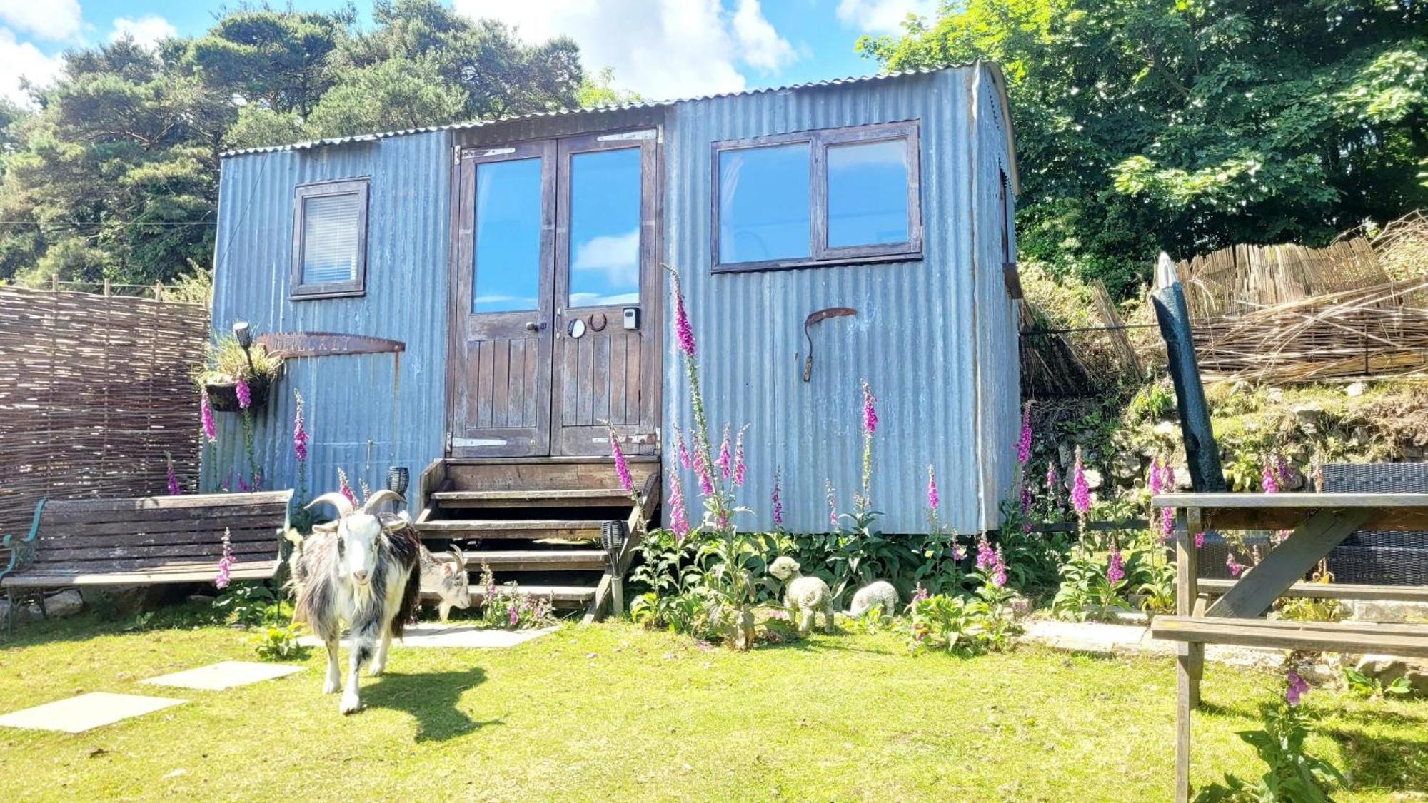 Treguth Glamping Unique Experience - Themed Huts Hotel Saint Day Exterior photo