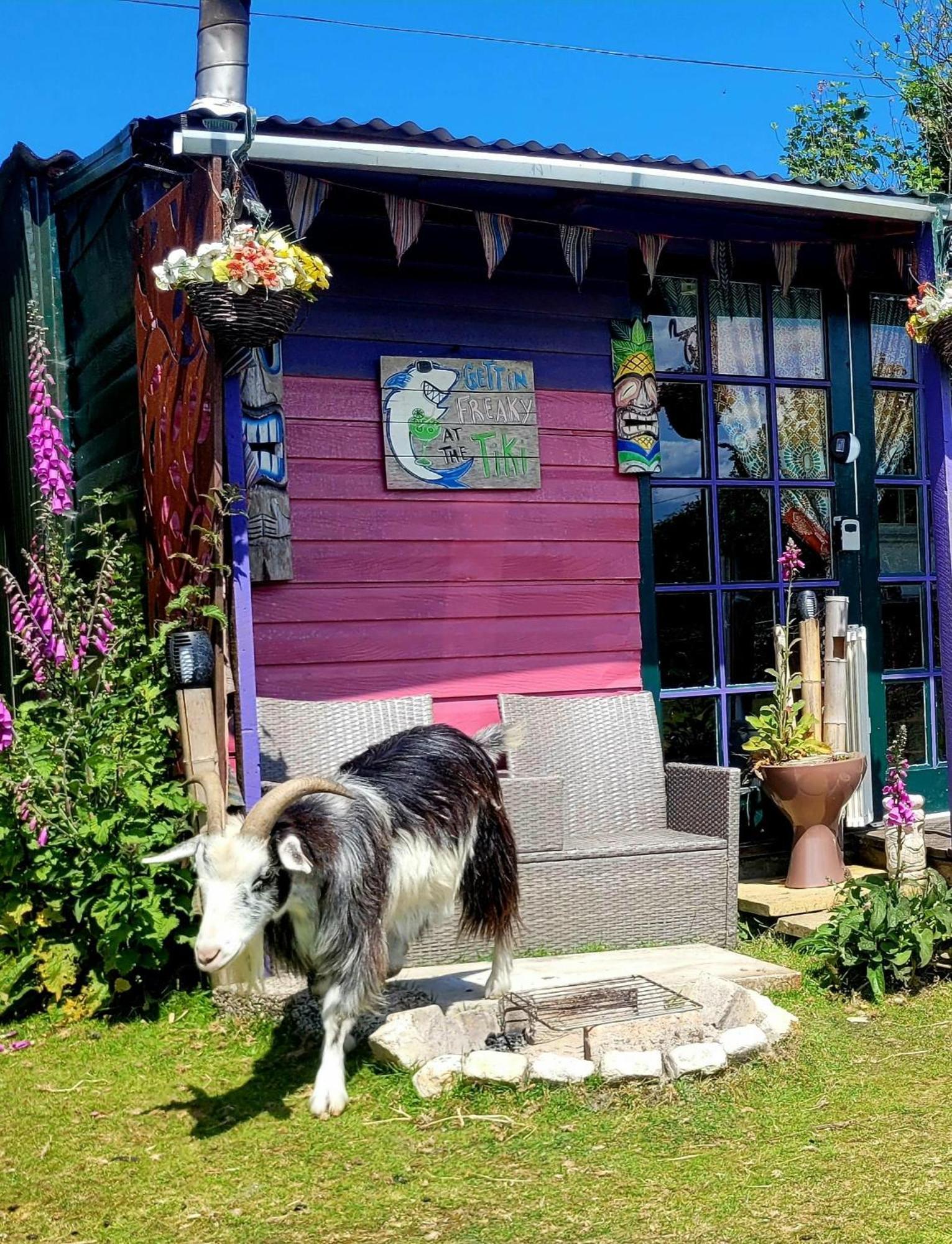 Treguth Glamping Unique Experience - Themed Huts Hotel Saint Day Exterior photo