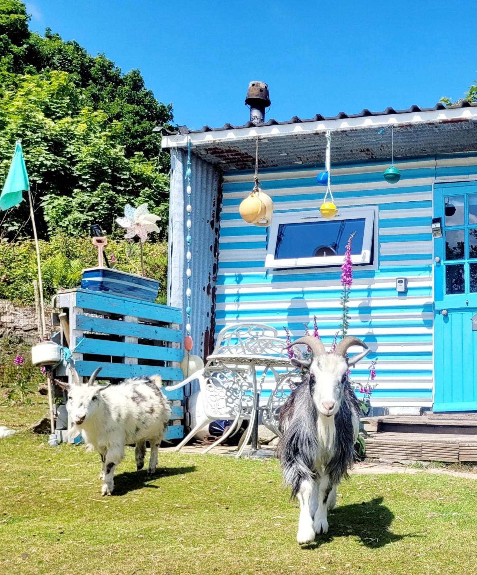 Treguth Glamping Unique Experience - Themed Huts Hotel Saint Day Exterior photo
