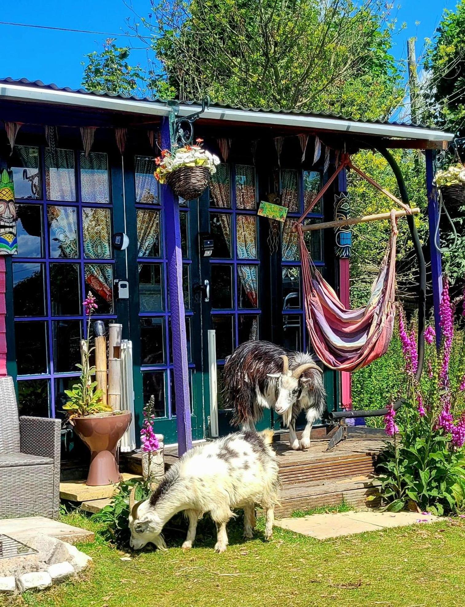 Treguth Glamping Unique Experience - Themed Huts Hotel Saint Day Exterior photo