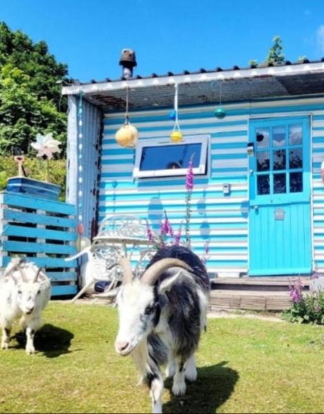 Treguth Glamping Unique Experience - Themed Huts Hotel Saint Day Exterior photo